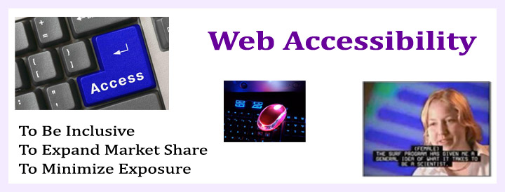 Tall METEOR Web Accessibility Slider